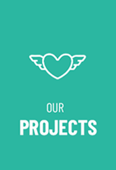 Our Projects